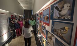 Erzurum Biyoçeşitlilik Müzesi’nde Tıbbi Bitki Sergisi