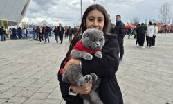 Eskişehirspor maçında minik taraftar kedisiyle tribünde