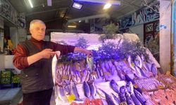 Denizlerde Av Yasağı Başladı: Eskişehir’de Balık Tezgâhlarında Son Durum