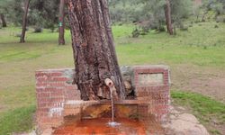 Eskişehir’in Şifalı Çeşmesi: Vatandaşlar Maden Suyu İçin Laçin’e Akın Ediyor