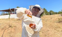 Eskişehir Balı Dünyanın Zirvesinde: Paris’ten "Platin" Ödülle Döndü!