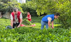 GSB Gönüllü Hasat Etkinliği 2026 Yılı Takvimi Belli Oldu