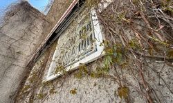 Eskişehir’in ‘Sarmaşıklı Camii’nde Bahar Uyanışı