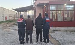 Eskişehir'de Dev Hayvan Dolandırıcılığı