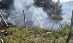 Bilecik’in Söğüt ilçesinde tarlada çıkan ateş ormana sıçradı