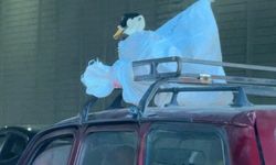 Eskişehir’de Otomobilin Üzerindeki Kaz Herkesi Şaşırttı!