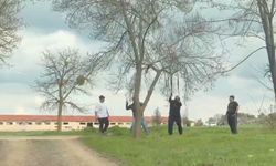 Eskişehir'de Tepki Çeken Görüntü: Canlı Ağaca Balta Sallayıp Halatla Asıldılar