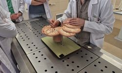 Eskişehirli Doktordan Ölümsüz Hizmet