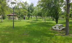 Ailenizle Vakit Geçirebileceğiniz En İyi Eskişehir Piknik Alanları Listesi