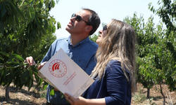 TBMM Zirai Don Araştırma Komisyonu Taslak Raporunu Tamamladı