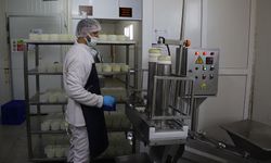 Eskişehir’de Halk Süt Projesiyle Güvenli ve Uygun Ürünler