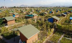 Hobi Bahçelerinde İmar Affı Gündemde: Şamil Tayyar’dan "Meclis" Çağrısı!