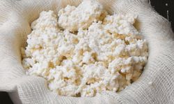Türkiye’nin En Sağlıklı Peyniri Lor Peyniri Seçildi!