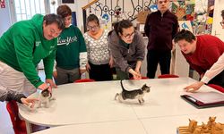 Odunpazarı'nda Özel Çocuklar sokak hayvanlarını sahiplendi