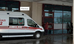 Ergani'de Yıldırım Faciası: Ağaç Altına Sığınan 2 Kuzen Can Verdi