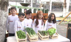 Minik Ellerden Geleceğin Tarımı: Anaokulunda Güneş Enerjili Hasat Heyecanı