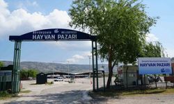 Eskişehir Hayvan Pazarı’nda Yer Satışları Başladı