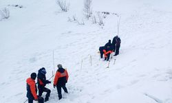 Artvin’deki çığ felaketinde kaybolan çoban için yeni arama