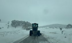Kar yağışı ulaşımı aksattı