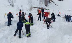 Artvin'de Çığ Altında Kalan Çoban İçin Arama Çalışmaları Sürüyor