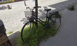 Eskişehir'de pes dedirten görüntü!