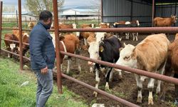 Eskişehir'de Kurbanlık Fiyatları ve Son Durum