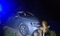 Geyiğin çarptığı otomobilde 2 kişi yaralandı!
