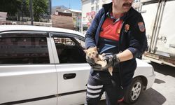 İlk Motor Blokundan Çıkarıldı, İtfaiye Erinin Hususi Aracına Kaçtı