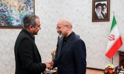 Pakistan İçişleri Bakanı Naqvi Tahran'da temaslarda bulundu