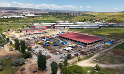 Kırıkkale’de Kurbanlıklar Alıcı Buldu, Yetiştiriciler Bayrama Mutlu Girdi