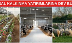 Kırsal kalkınma yatırımlarına dev bütçe