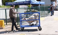 Odunpazarı Belediyesinin Ücretsiz Kurban Kesim Hizmetine Vatandaşlardan Tam Not