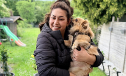 Almanya'da köpek sahiplerine sıkı kurallar ve 25 bin euro ceza