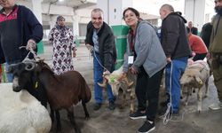 Bayramın huzuru Tepebaşı’nda yaşandı