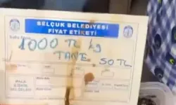 Bakanlık Harekete Geçti: Tanesi 50 Liralık Zeytine Ceza Kesildi
