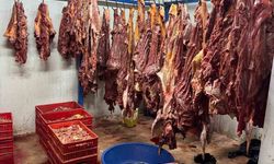 Bakanlık İfşa Etti: Köfte ve Lahmacunda Şok Eden İçerikler