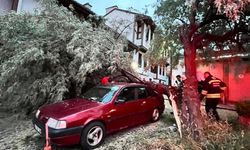 Eskişehir’de Park Halindeki Otomobilin Üzerine Ağaç Dalı Düştü