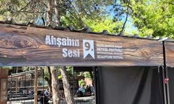 Odunpazarı 9. Uluslararası Ahşap Heykel Festivali Beklentilerin Gerisinde Kaldı