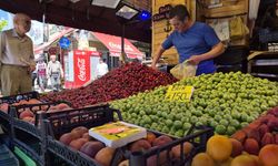 Av Yasağı Başladı, Tezgah Meyveye Döndü