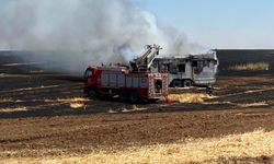 Ceylanpınar'da sondaj aracı ve karavan yandı: 3 işçi yaralı