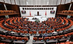 Milyonların Gözü TBMM’de: Nevruz Bayramı’nın Resmi Tatil Olması İçin Geri Sayım Başladı