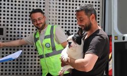 'Can dostlar büyükşehir güvencesinde'