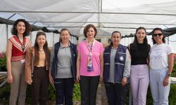 Eskişehir Büyükşehir Belediyesi Kendi Seralarında 700 Bin Çiçek Üretti