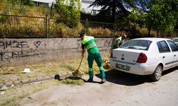 Tepebaşı'nda yağışların ardından yabani ot temizliği başladı