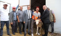 Büyükşehir ve Seyitgazi Belediyelerinden Hayvancılığa Can Suyu