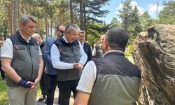 Vali Yılmaz: Eskişehir Fidanlığı ile Gurur Duyuyoruz
