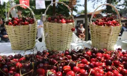 Mihalıççık Belediyesi’nden Son Dakika Kararı! Festival Ertelendi Mi?