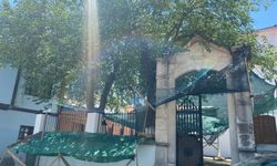 Cami Bahçesinde Dutlar İçin Ağlı Önlem Alındı