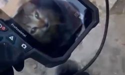 Eskişehir’de İtfaiye 5 Metre Derinden Kedi Kurtardı