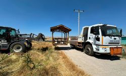 İnönü Belediyesi’nden Parklara Kamelya Desteği